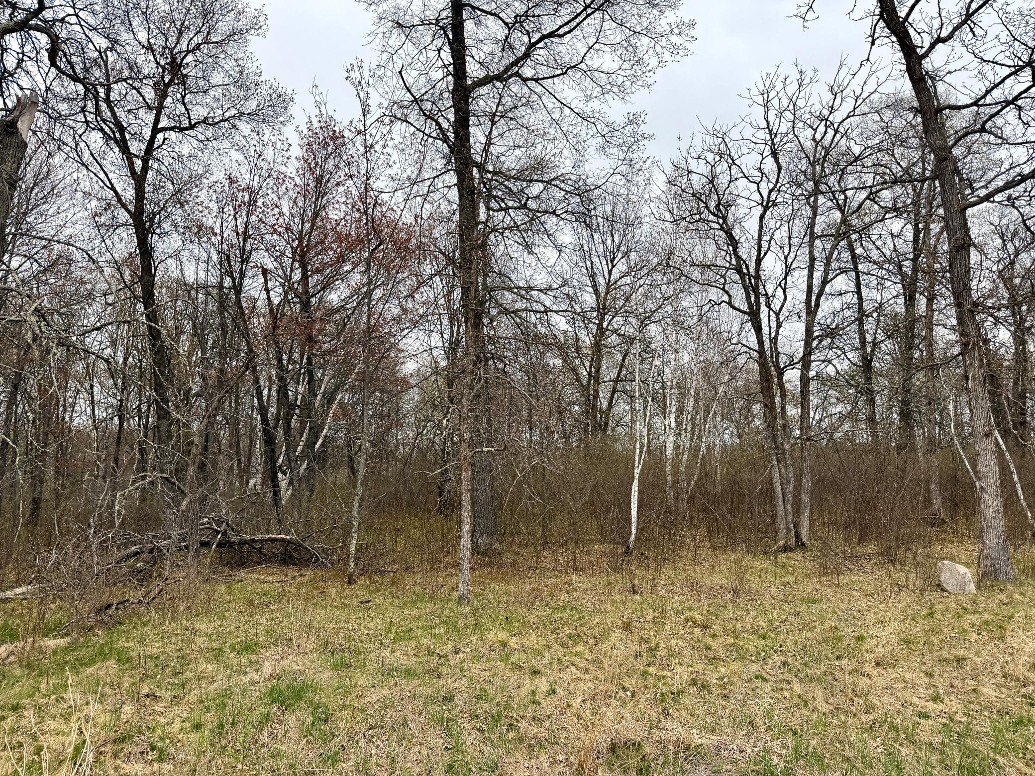 L17B1 Acorn Ridge Road NW, Bemidji MN 56601 - Photo 3 of 4