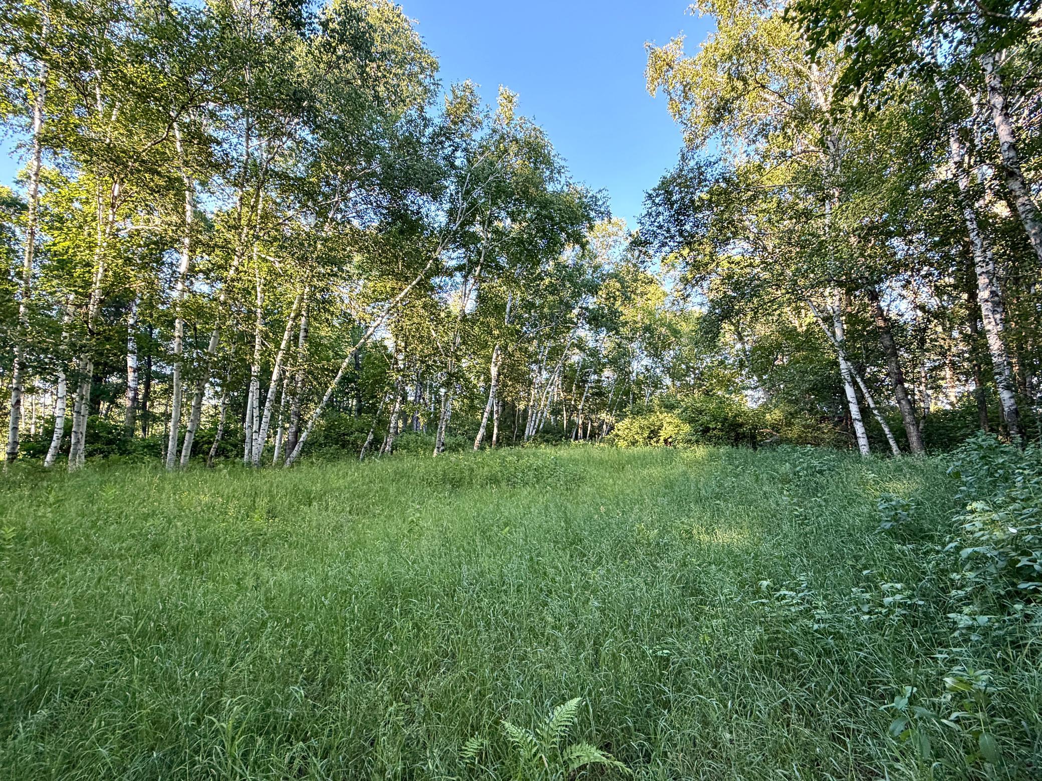 land for sale at L17B1 Acorn Ridge Road NW in Bemidji, MN (photo 5 of 11)
