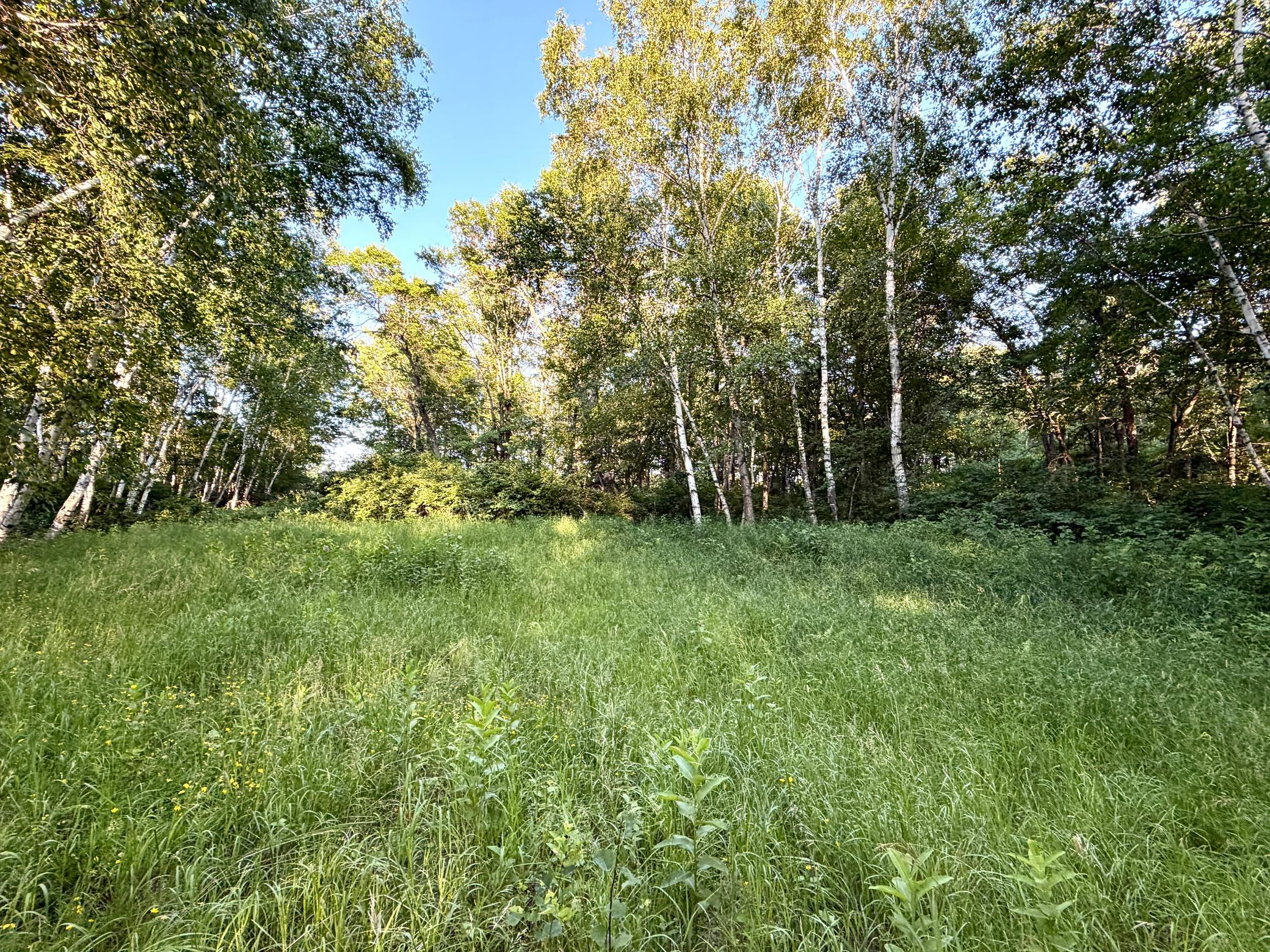 land for sale at L17B1 Acorn Ridge Road NW in Bemidji, MN (photo 6 of 11)