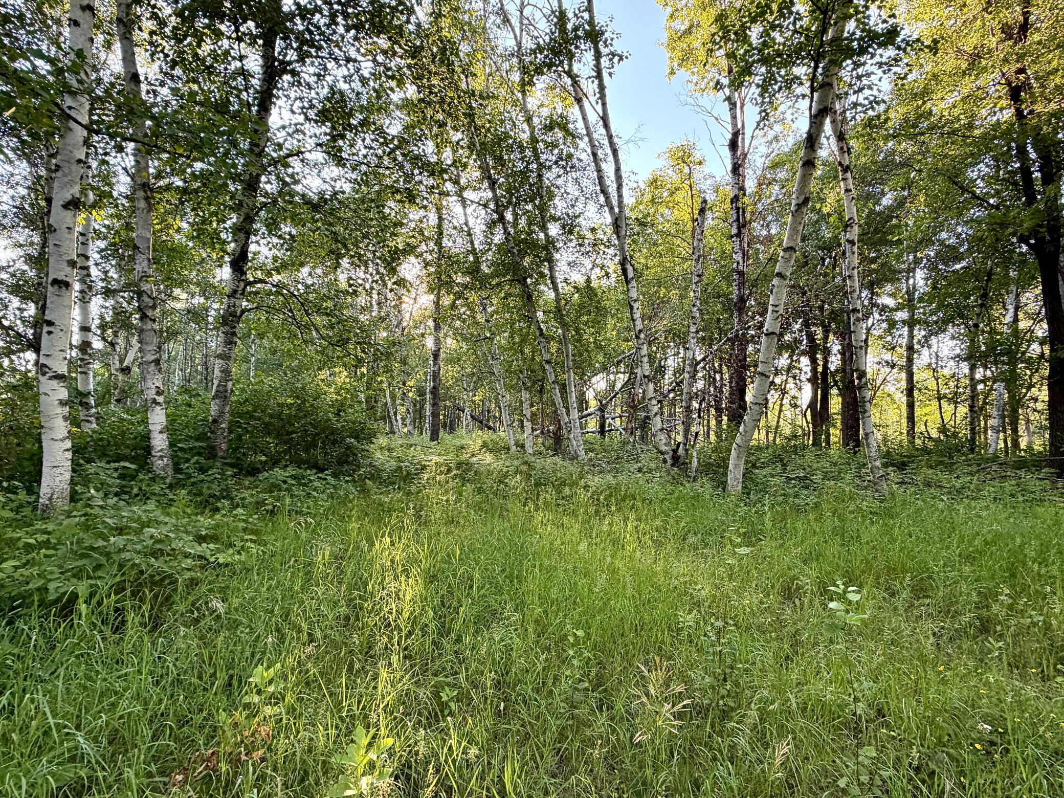 land for sale at L17B1 Acorn Ridge Road NW in Bemidji, MN (photo 7 of 11)