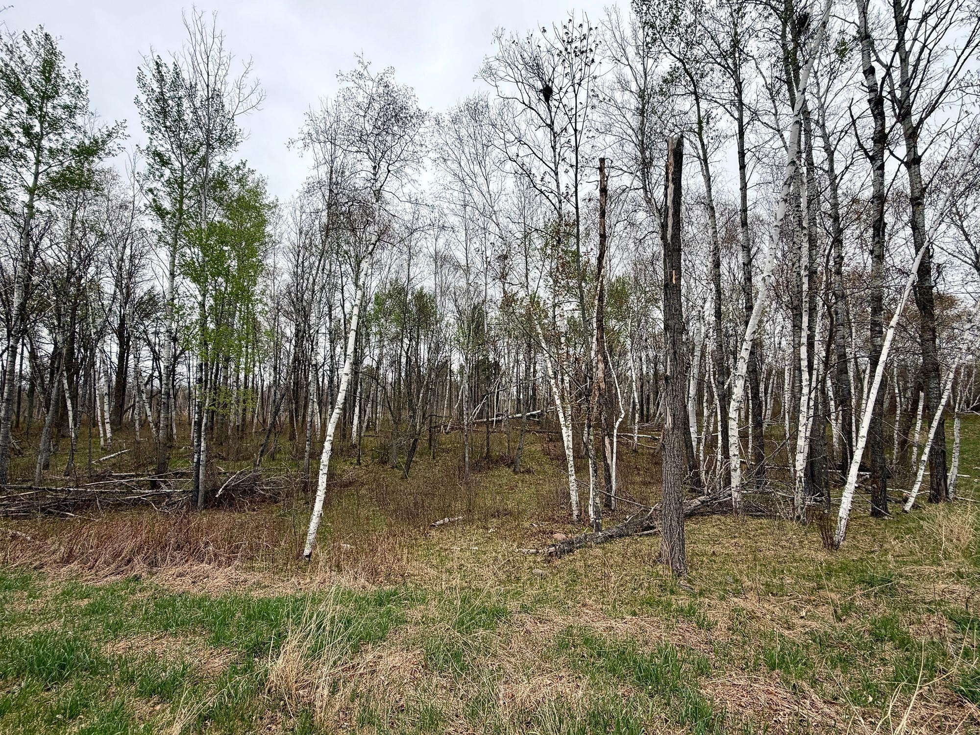 L18B1 Acorn Ridge Road NW, Bemidji MN 56601 - Photo 3 of 4