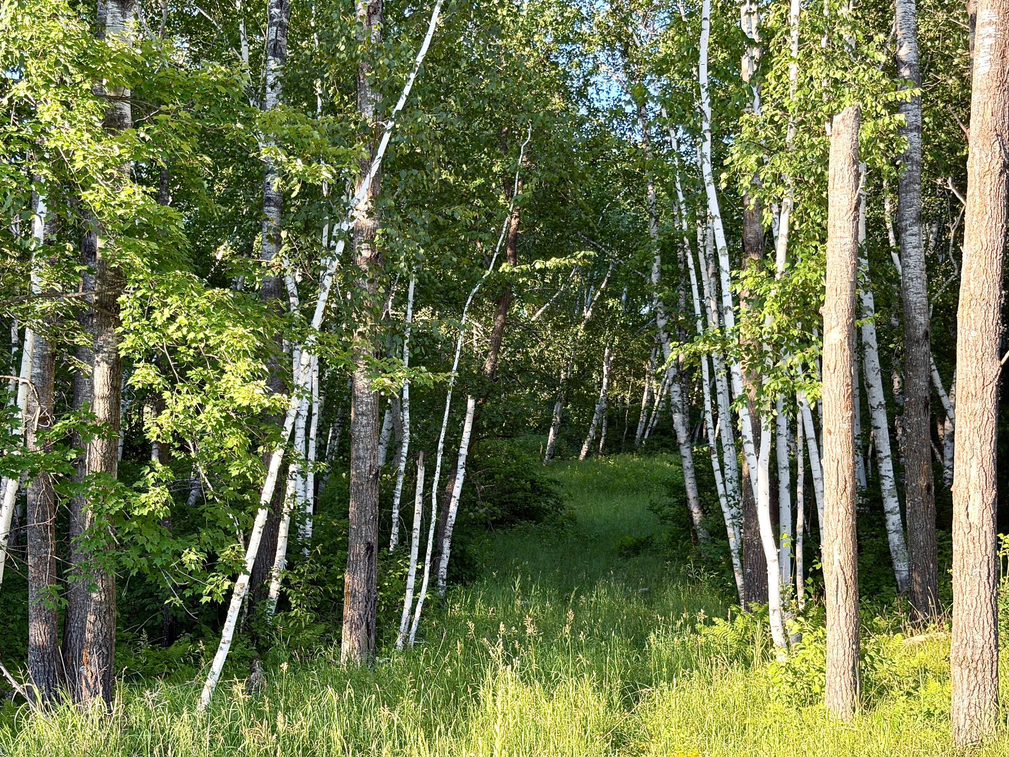 land for sale at L18B1 Acorn Ridge Road NW in Bemidji, MN (photo 3 of 11)