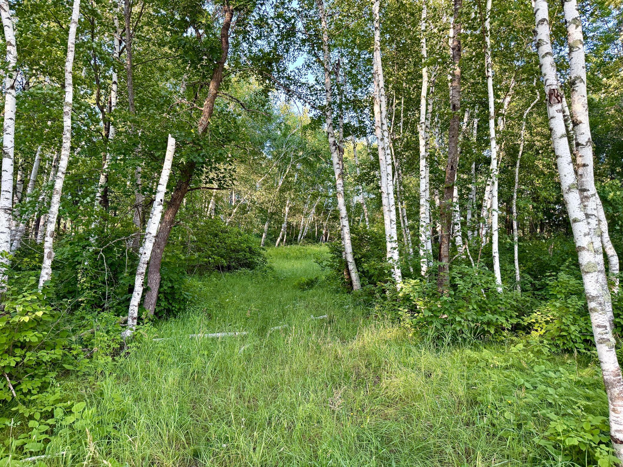land for sale at L18B1 Acorn Ridge Road NW in Bemidji, MN (photo 4 of 11)