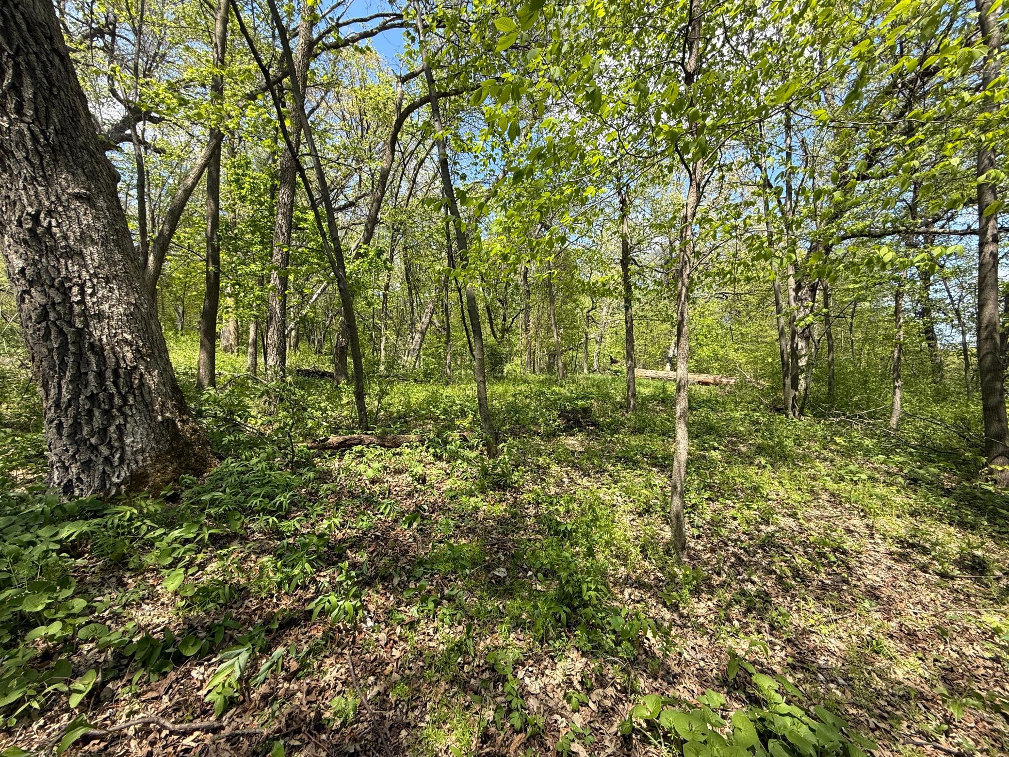 19318 308th Avenue, Underwood MN 56586 - Photo 11 of 16