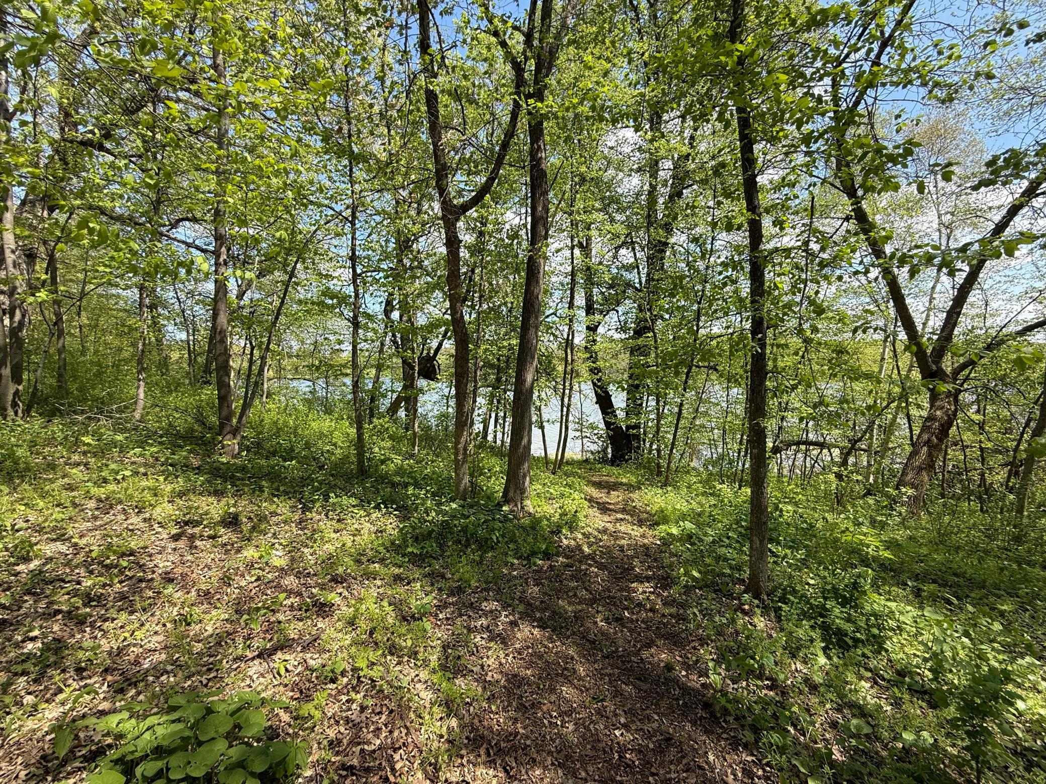 19318 308th Avenue, Underwood MN 56586 - Photo 12 of 16