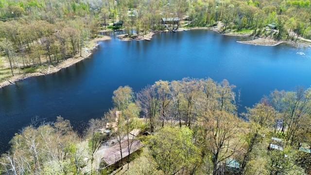 8305 Meadow Lake Road SW, Motley MN 56466 - Photo 4 of 24