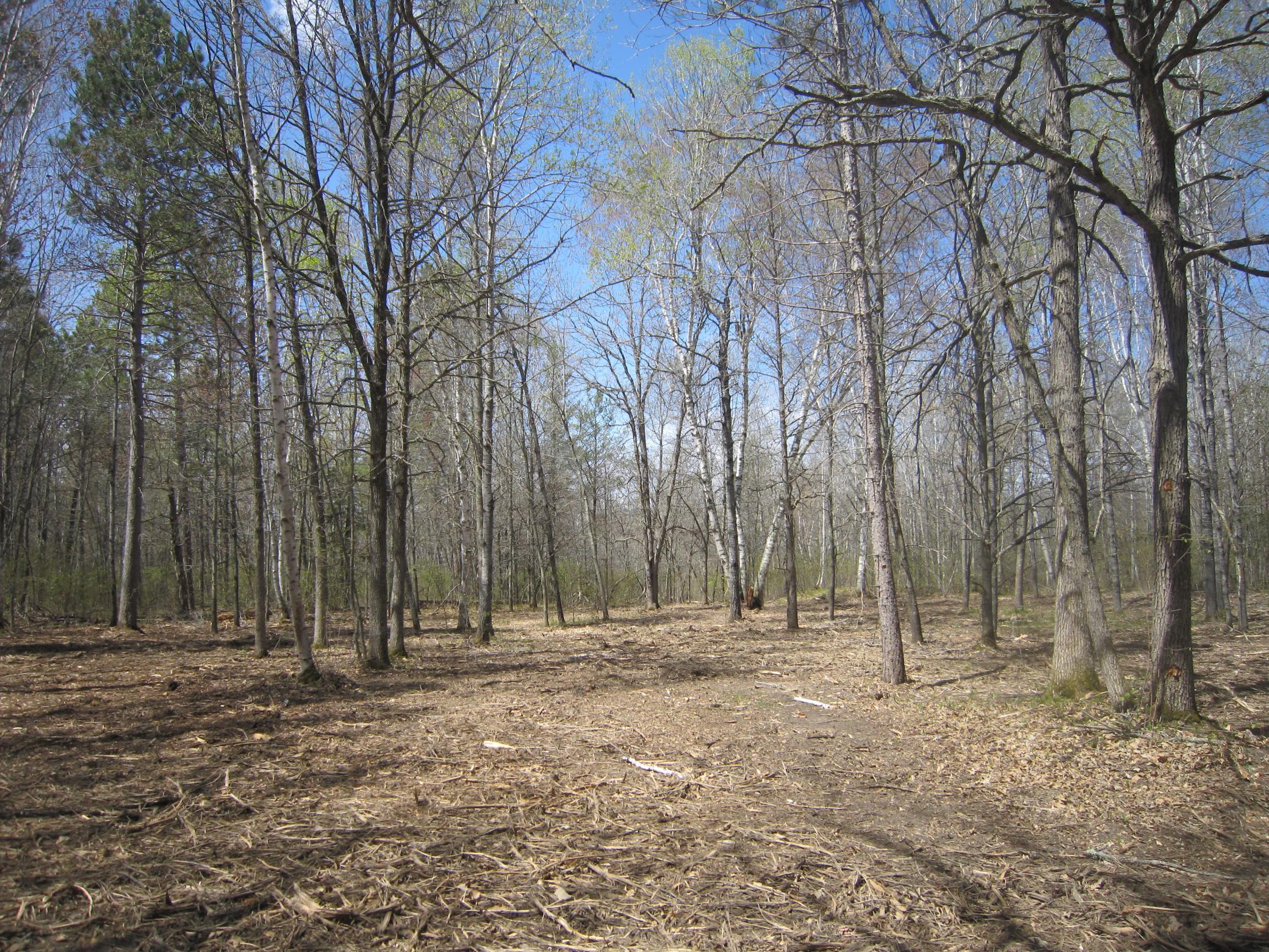 Lot 6 Pike Bay Loop NW, Cass Lake MN 56633 - Photo 9 of 25
