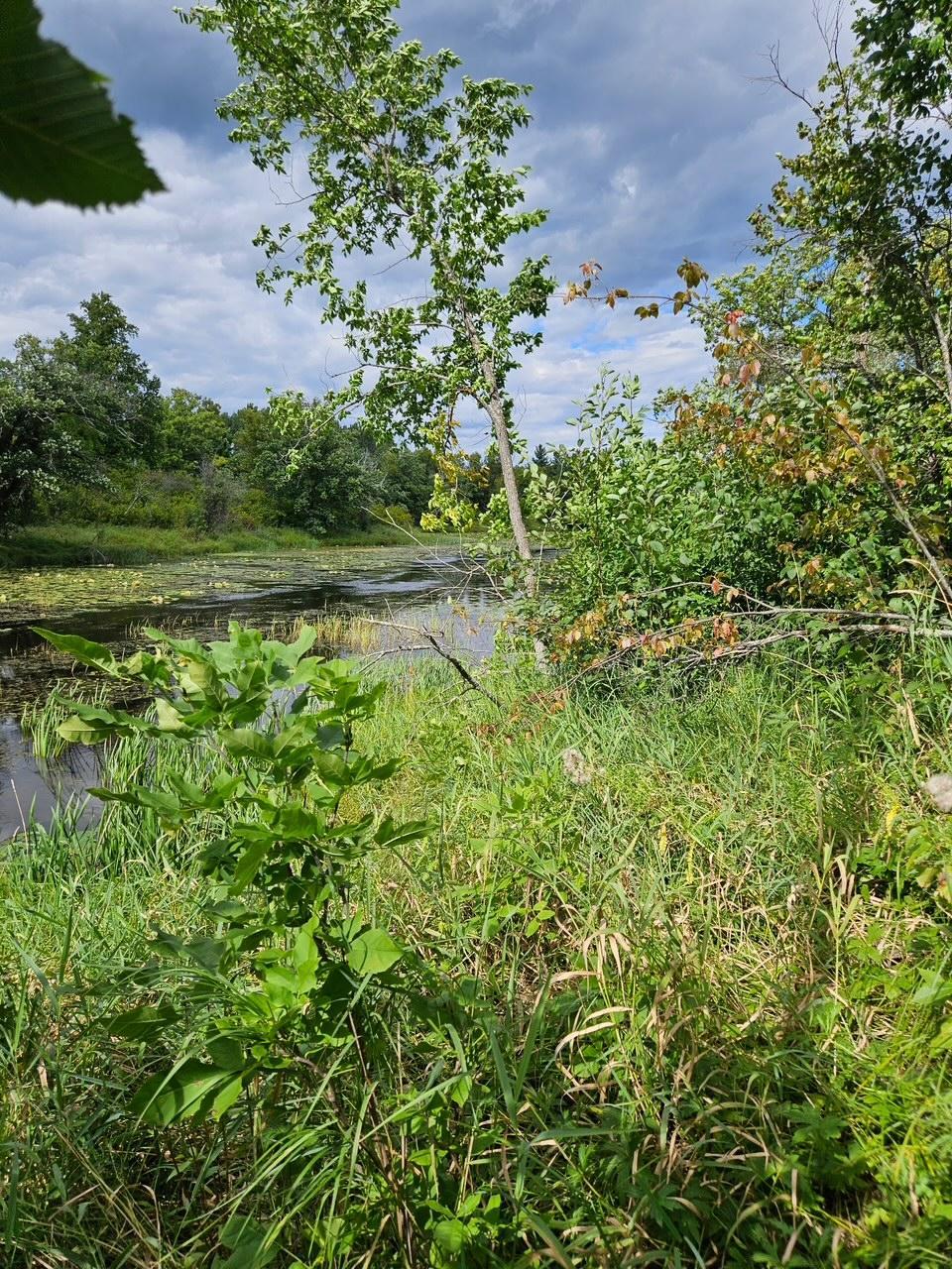 _ __Birch Circle Drive NW, Baudette MN 56623 - Photo 2 of 8