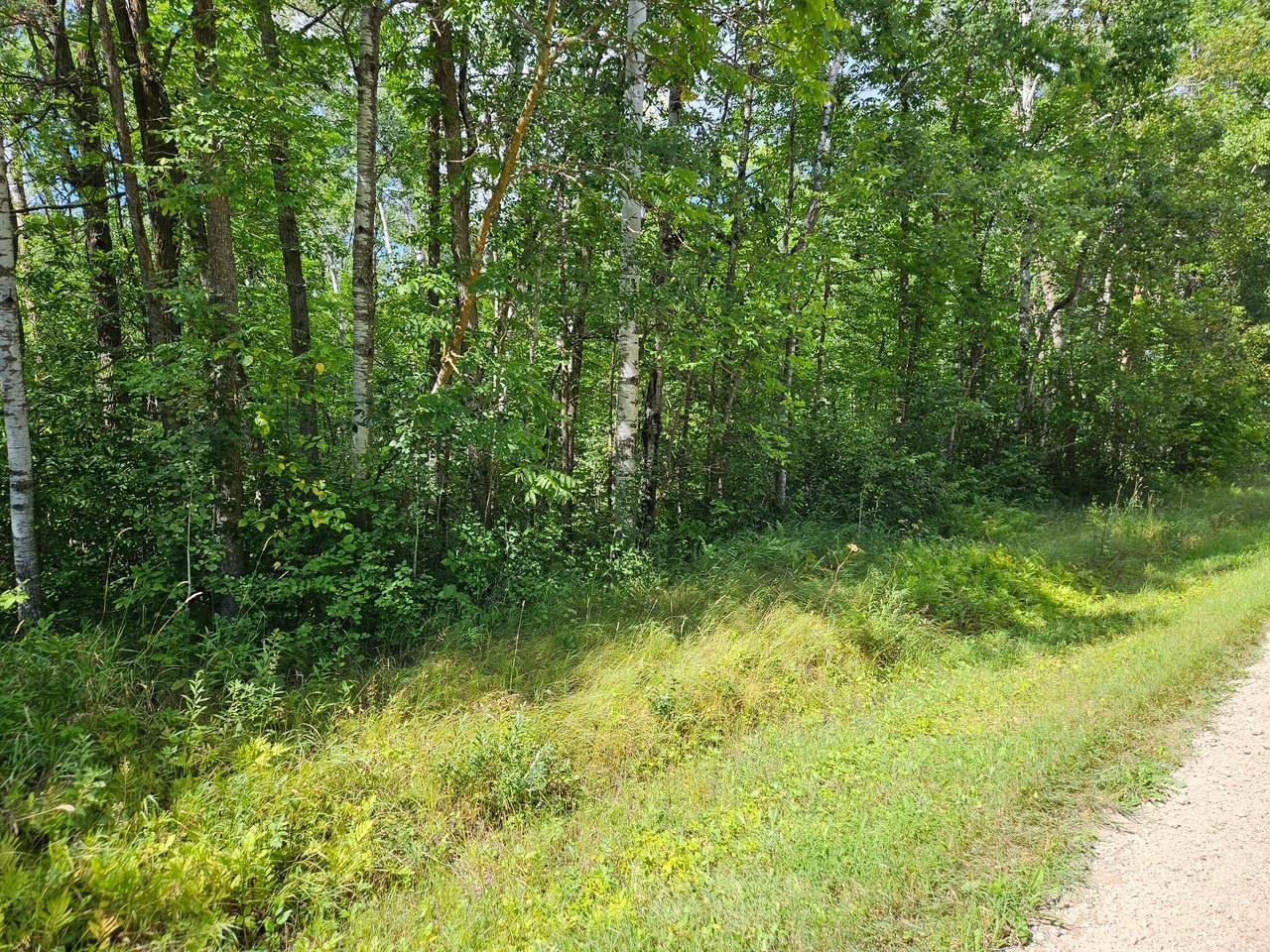 _ __Birch Circle Drive NW, Baudette MN 56623 - Photo 6 of 8