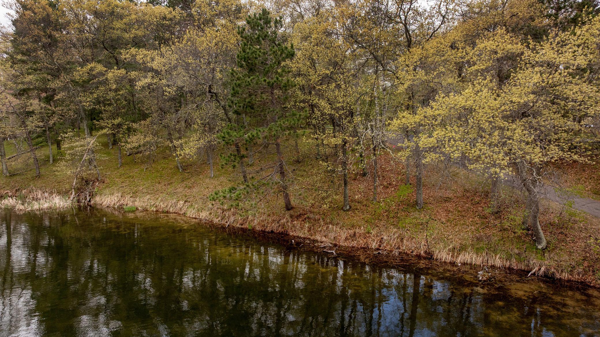 land for sale at TBD ABC Drive in Cross Lake, MN (photo 2 of 11)