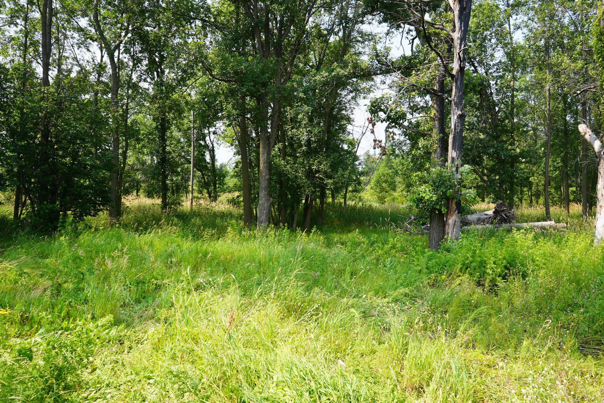 land for sale at 7241 US Highway 169 in Garrison, MN (photo 12 of 16)