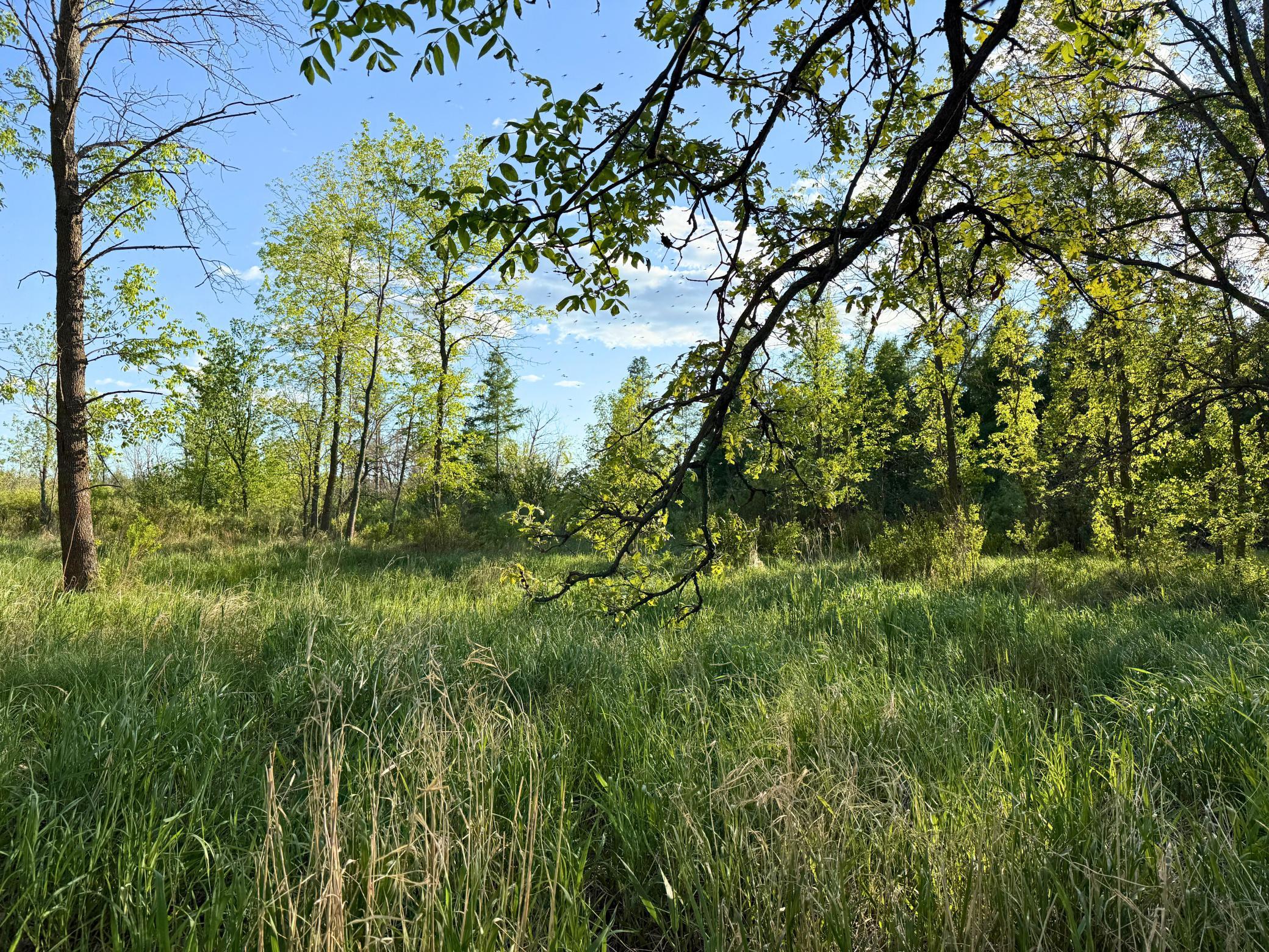 land for sale at 7241 US Highway 169 in Garrison, MN (photo 15 of 16)