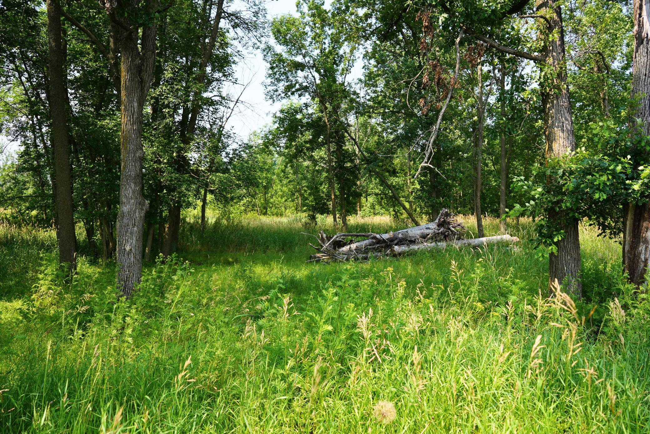 land for sale at 7241 US Highway 169 in Garrison, MN (photo 16 of 16)