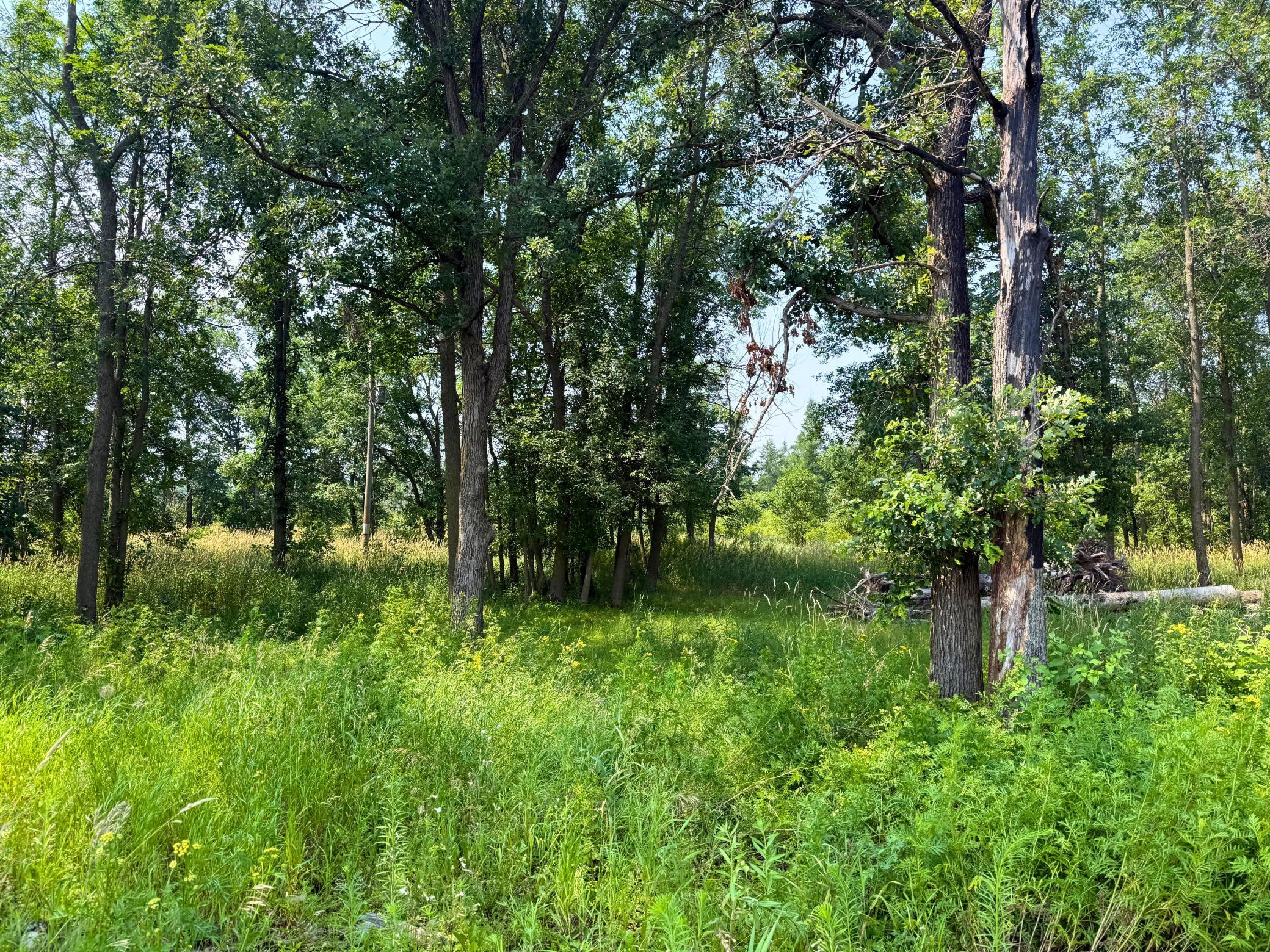 land for sale at 7241 US Highway 169 in Garrison, MN (photo 3 of 16)