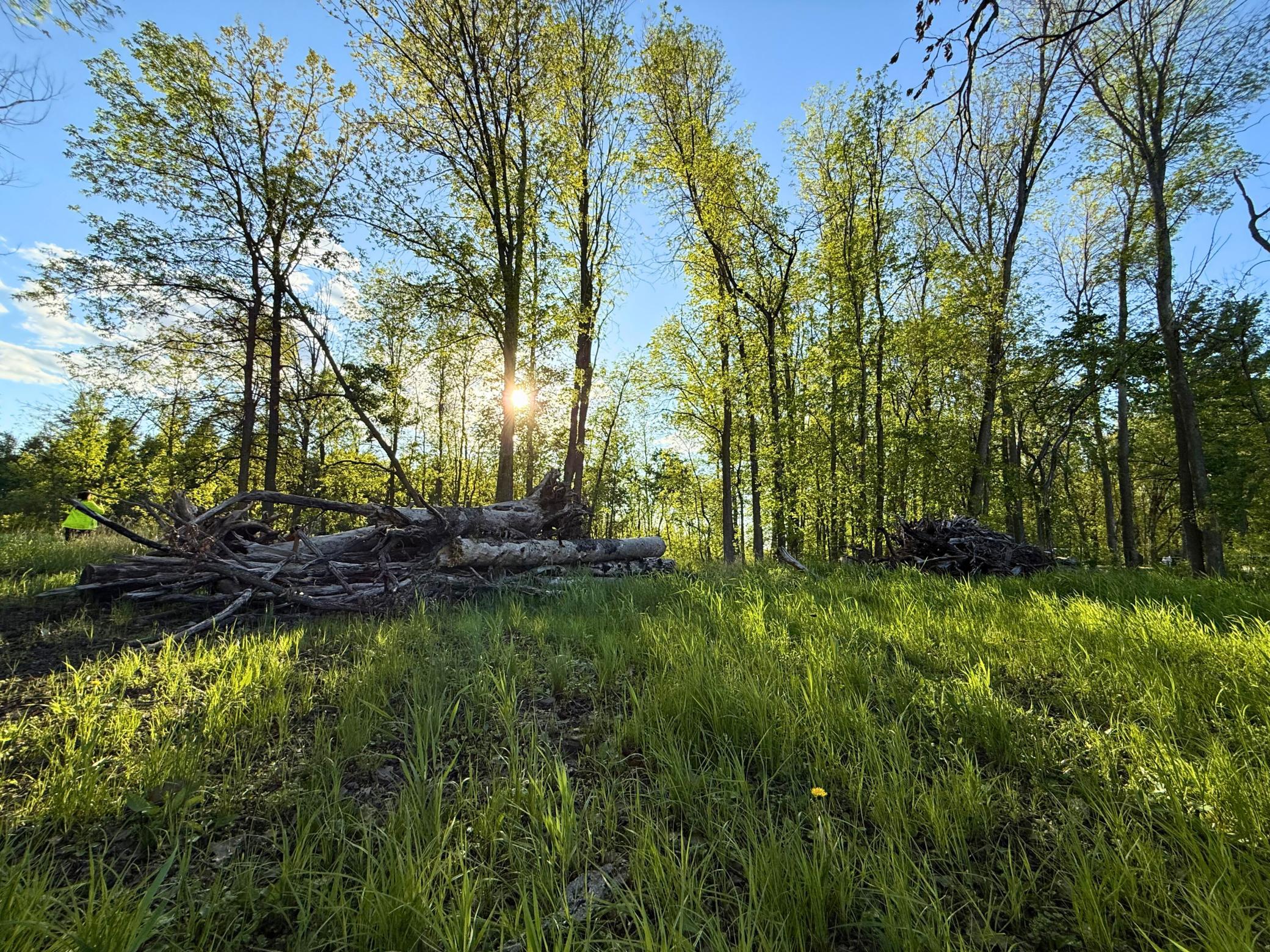 land for sale at 7241 US Highway 169 in Garrison, MN (photo 5 of 16)