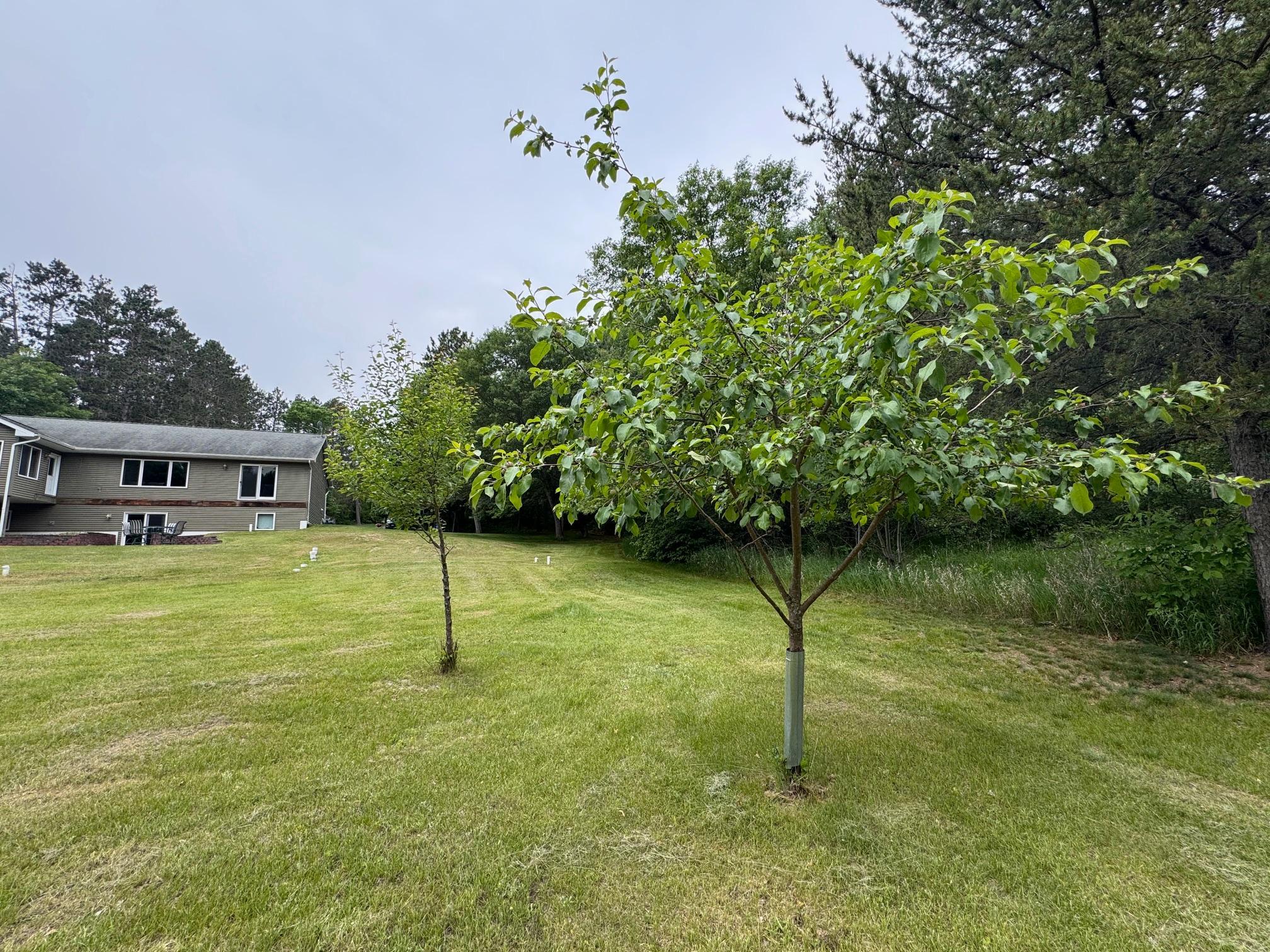 2006 single family home for sale at 11672 147th Avenue in Menahga, MN — 4 bed, 3 bath (photo 51 of 59)