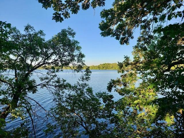 land for sale at XXXX Co-Rd 108 NW in Brandon, MN (photo 4 of 21)