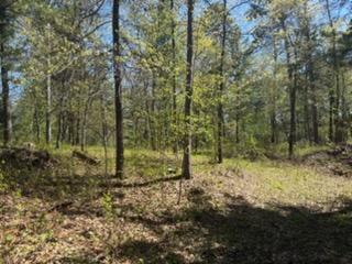 land for sale at 8293 Interlachen Road in Lake Shore, MN (photo 2 of 10)