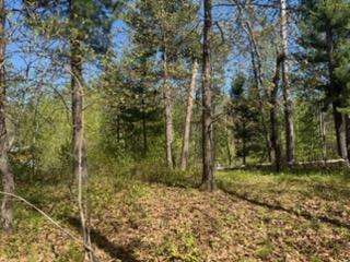 land for sale at 8293 Interlachen Road in Lake Shore, MN (photo 3 of 10)