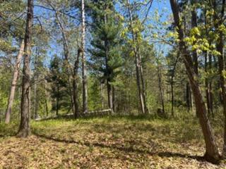 land for sale at 8293 Interlachen Road in Lake Shore, MN (photo 4 of 10)