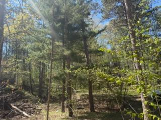 land for sale at 8293 Interlachen Road in Lake Shore, MN (photo 10 of 10)