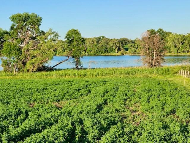 land for sale at XXXX Co-Rd 108 NW in Brandon, MN (photo 6 of 21)