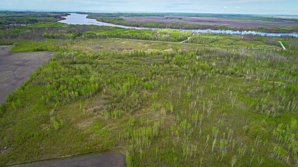 land for sale at TBD State Hwy 172 Cliff in Baudette, MN (photo 12 of 21)