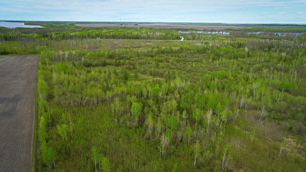 land for sale at TBD State Hwy 172 Cliff in Baudette, MN (photo 13 of 21)