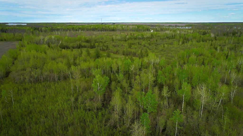 land for sale at TBD State Hwy 172 Cliff in Baudette, MN (photo 14 of 21)