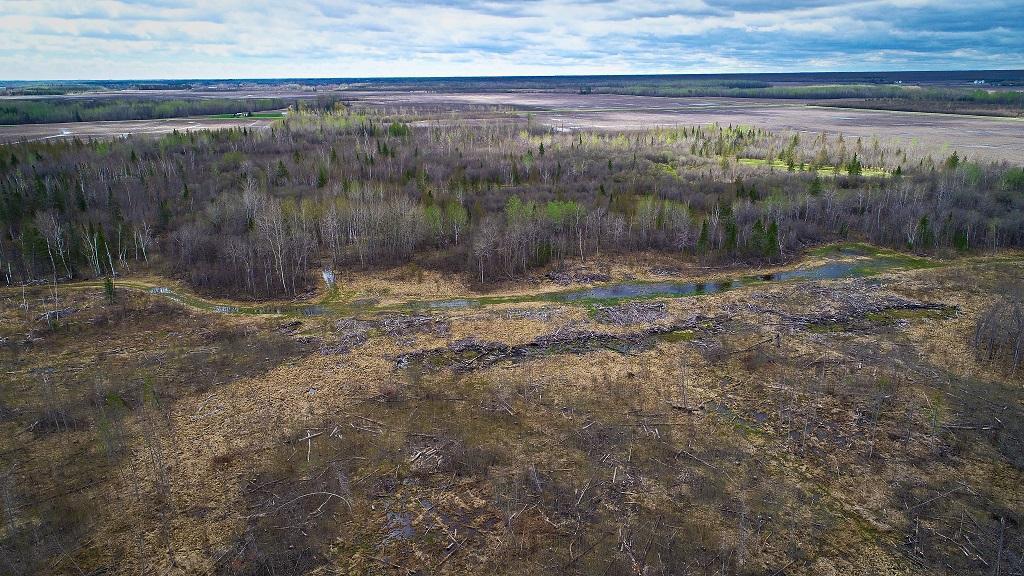land for sale at TBD State Hwy 172 Cliff in Baudette, MN (photo 15 of 21)