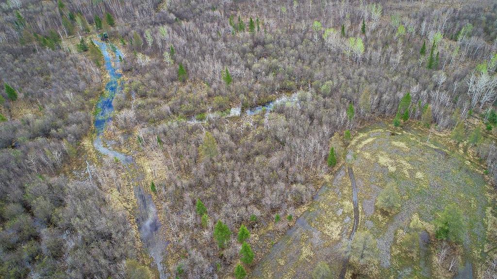 land for sale at TBD State Hwy 172 Cliff in Baudette, MN (photo 8 of 21)