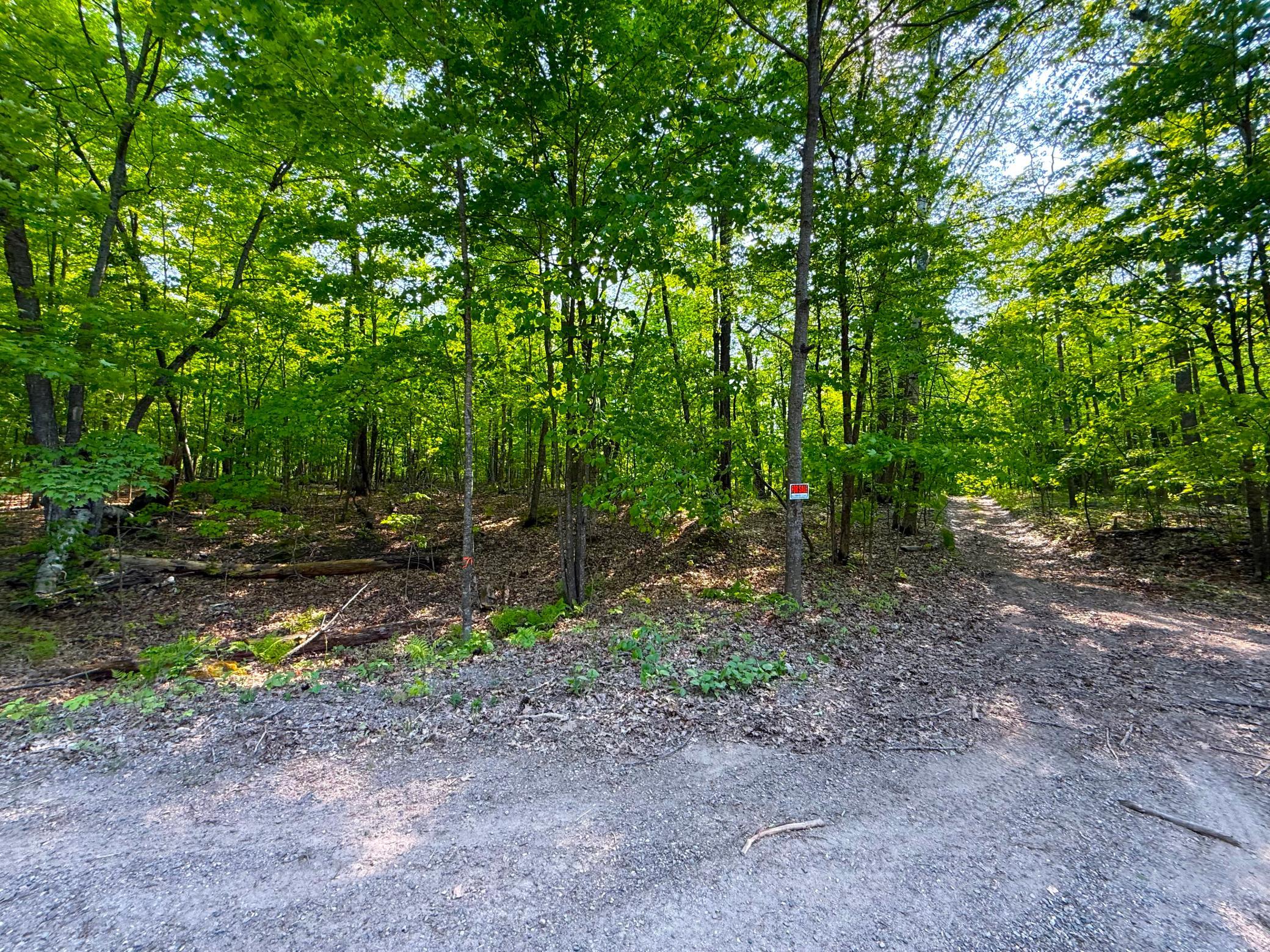 0 182nd Ave, McGregor MN 55760 - Photo 8 of 16