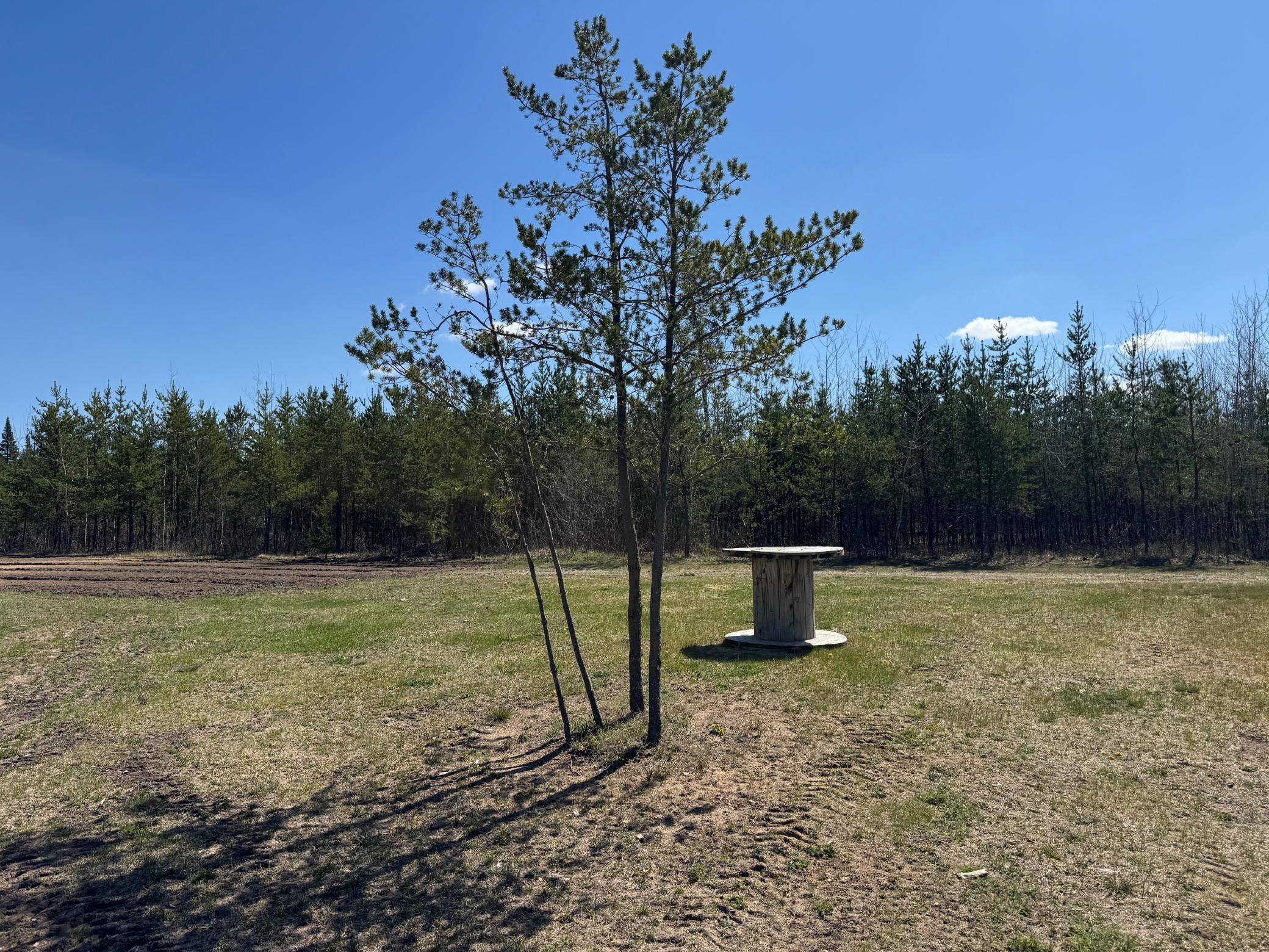 1900 single family home for sale at TBD Thompson Forest Road in Roseau, MN — 0 bed, 0 bath (photo 11 of 12)