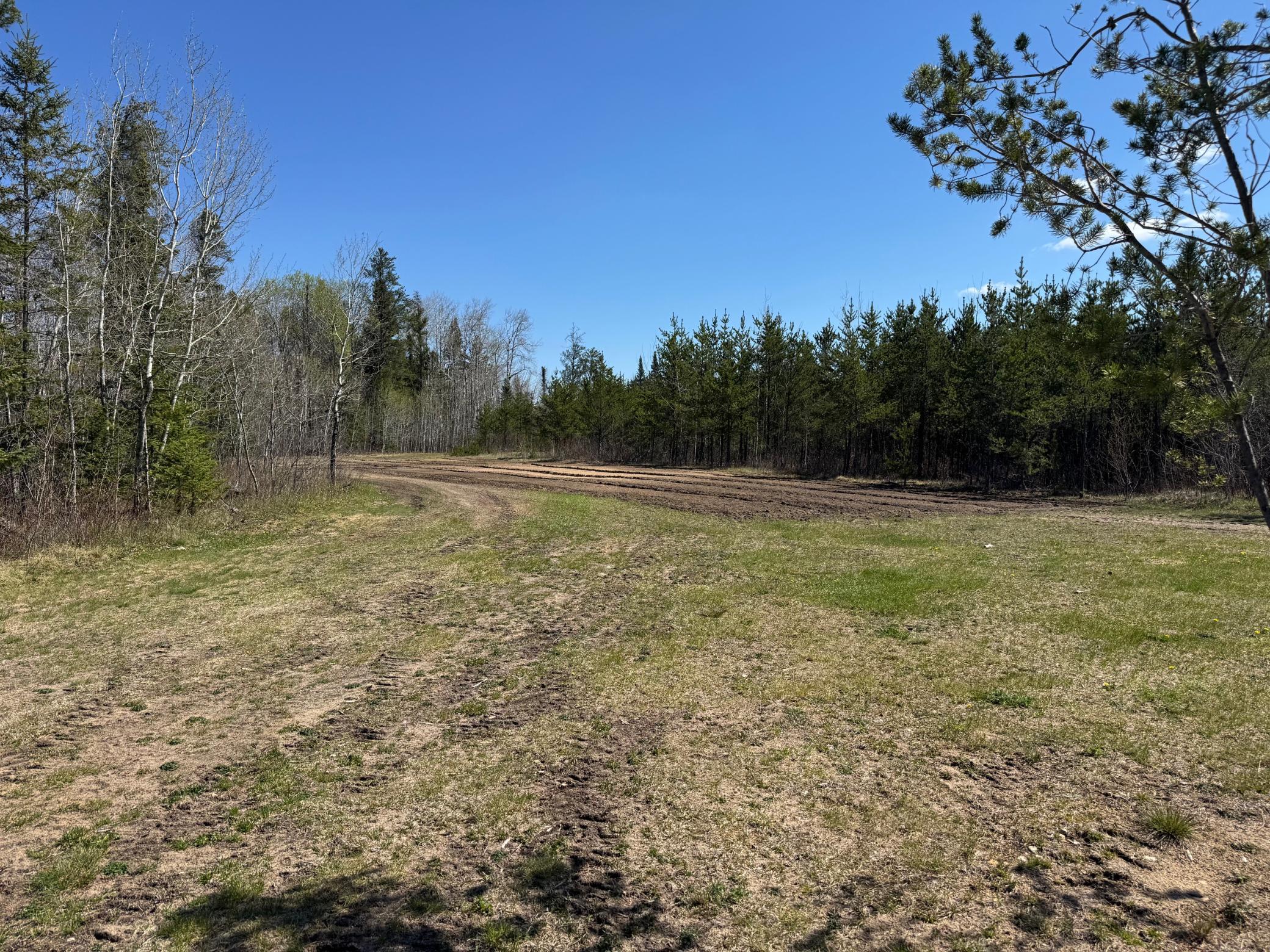 1900 single family home for sale at TBD Thompson Forest Road in Roseau, MN — 0 bed, 0 bath (photo 12 of 12)