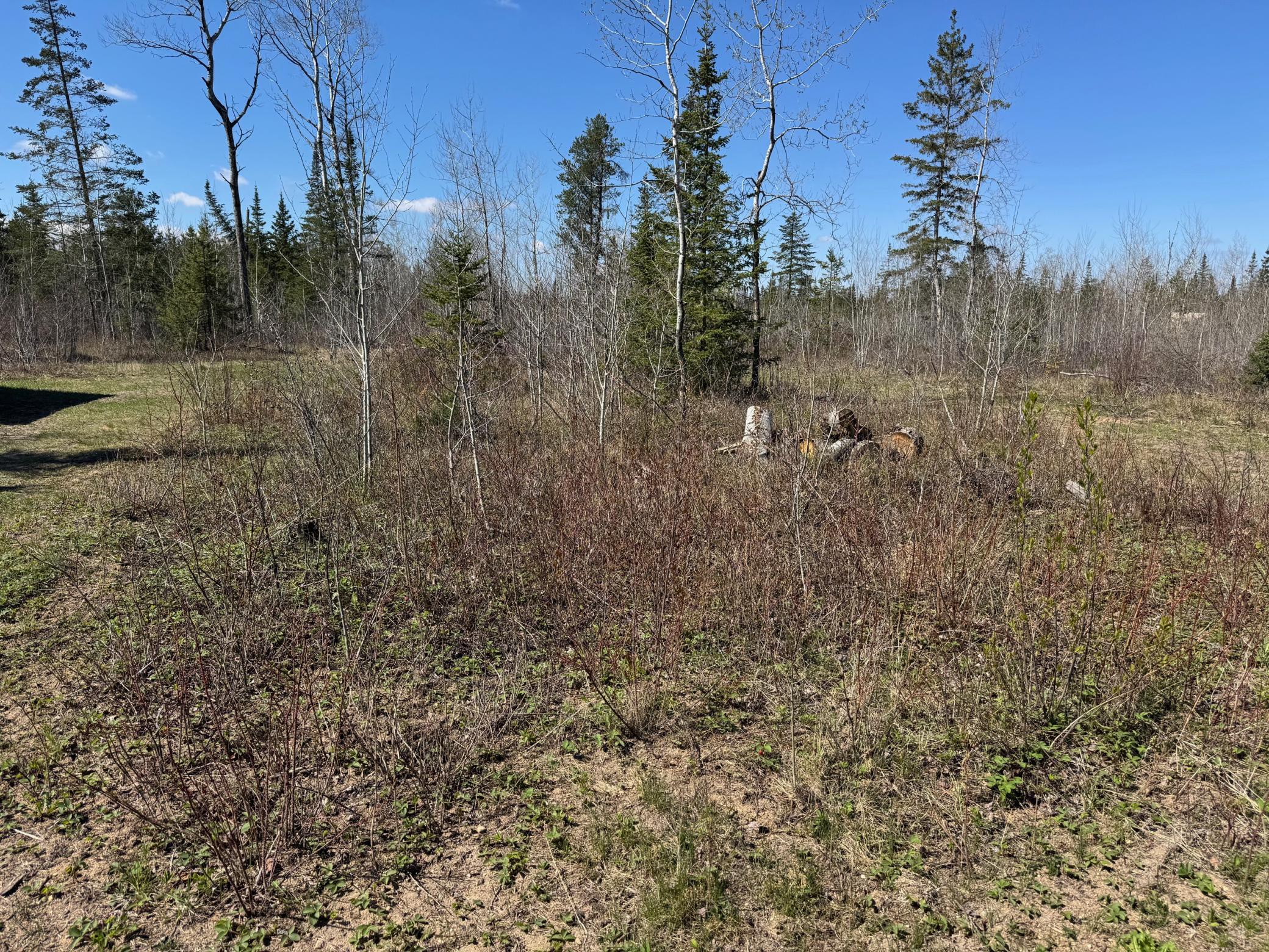 1900 single family home for sale at TBD Thompson Forest Road in Roseau, MN — 0 bed, 0 bath (photo 10 of 12)