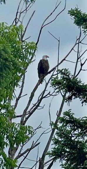 2006 single family home for sale at 39878 Bald Eagle Haven Road in Waubun, MN — 5 bed, 3 bath (photo 22 of 29)