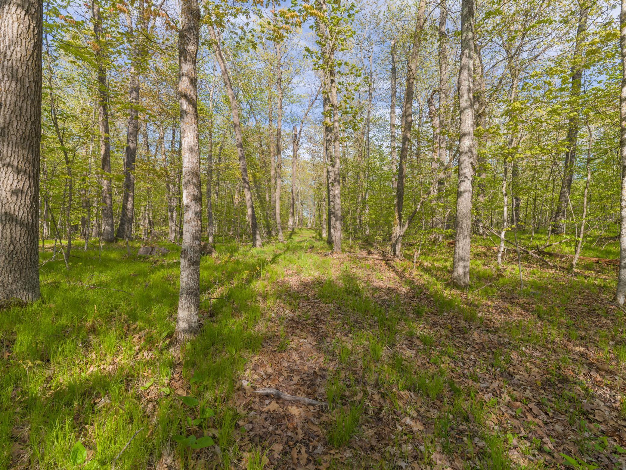 1994 single family home for sale at 17549 295th Avenue in Isle, MN — 0 bed, 0 bath (photo 14 of 36)