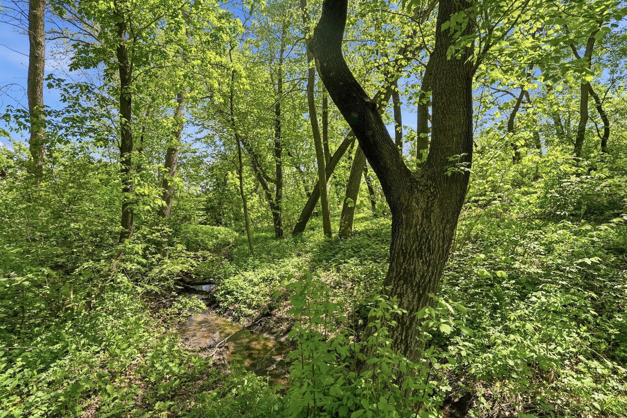 land for sale at 3807 Rosewood Lane SE in Alexandria, MN (photo 23 of 37)