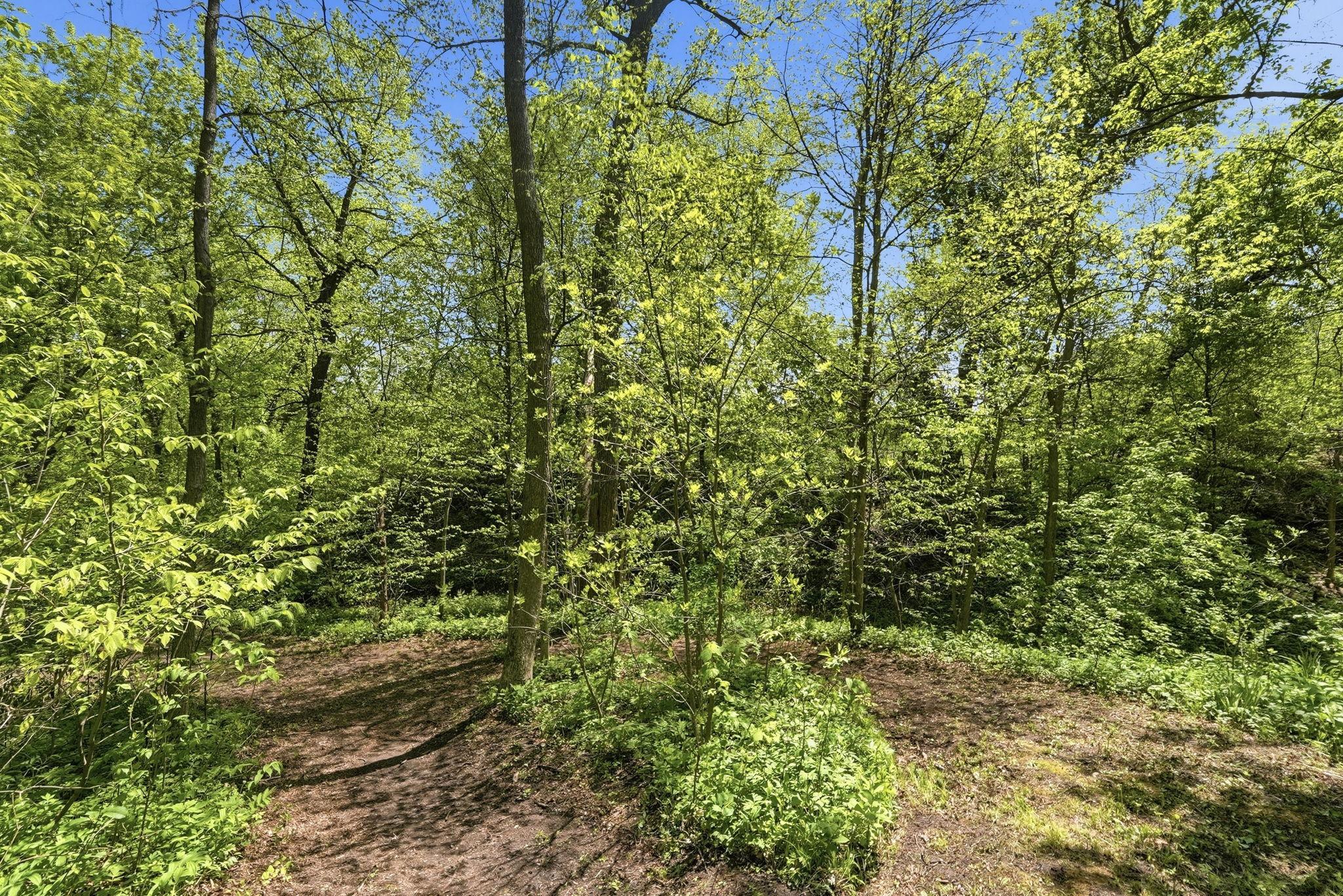 land for sale at 3807 Rosewood Lane SE in Alexandria, MN (photo 24 of 37)
