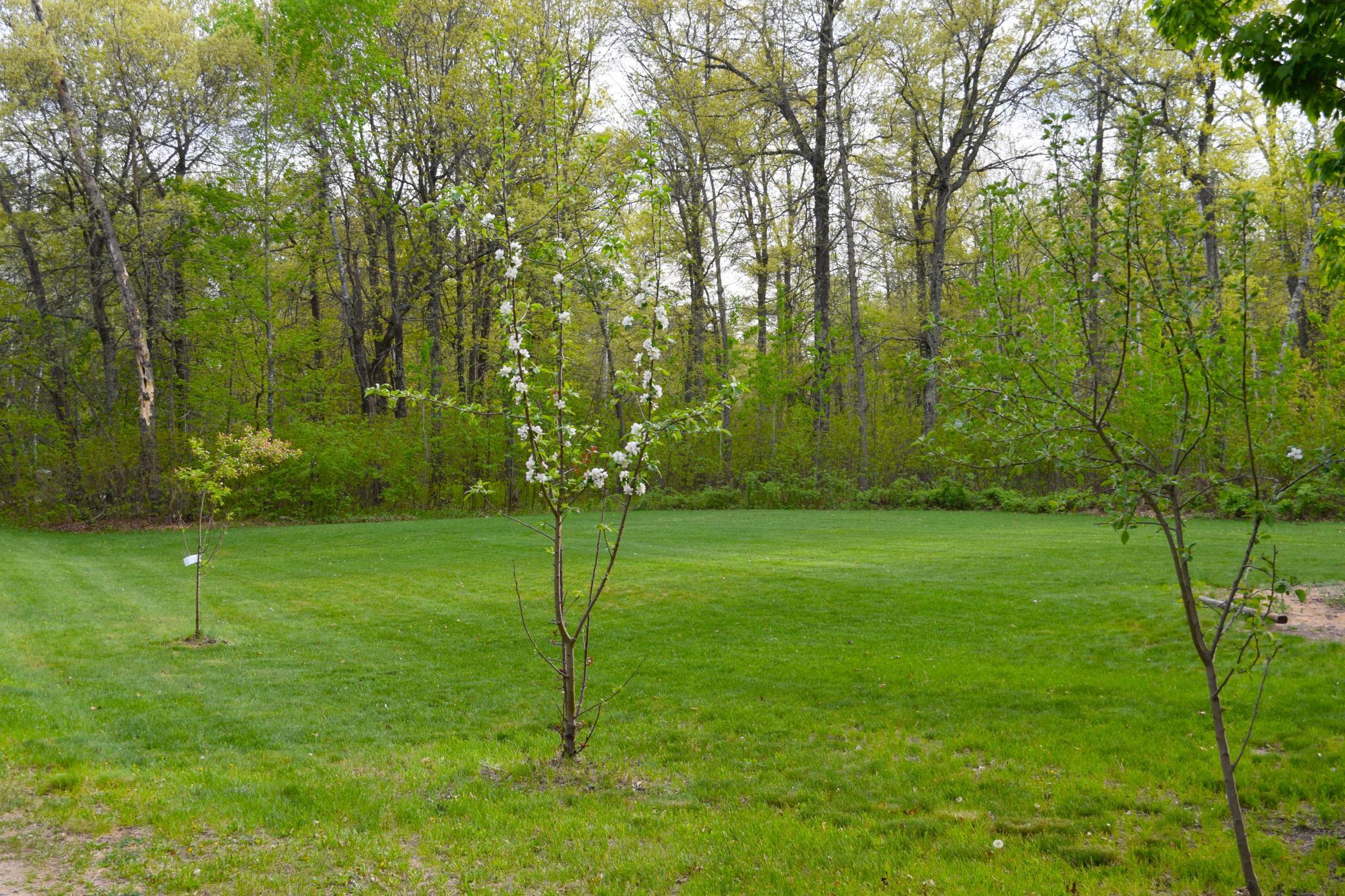 13066 Oakland Parkway Road, Merrifield MN 56465 - Photo 9 of 13
