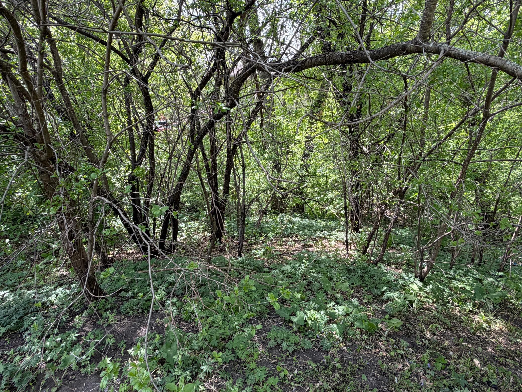 land for sale at 202 W Everett Avenue in Fergus Falls, MN (photo 4 of 7)