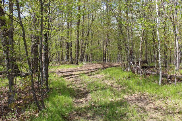 2000 single family home for sale at 38626 496th Lane in Palisade, MN — 2 bed, 2 bath (photo 27 of 32)