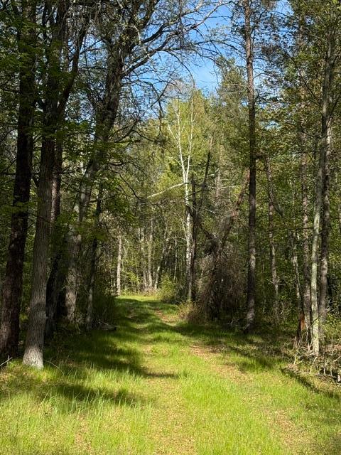 TBD County Road 3, Merrifield MN 56465 - Photo 11 of 37