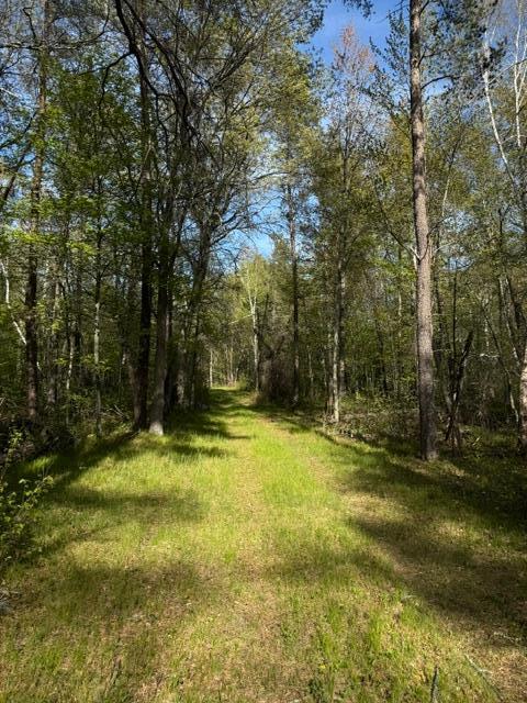TBD County Road 3, Merrifield MN 56465 - Photo 12 of 37