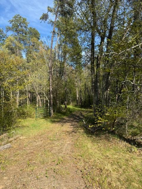 TBD County Road 3, Merrifield MN 56465 - Photo 13 of 37