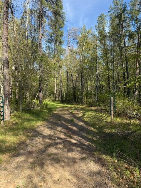 TBD County Road 3, Merrifield MN 56465 - Photo 14 of 37