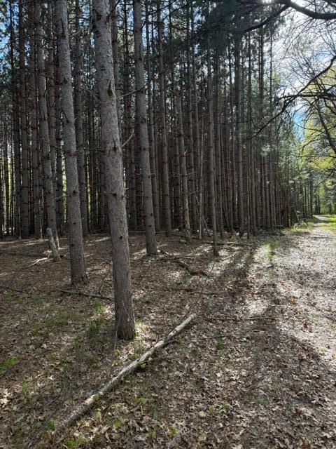 TBD County Road 3, Merrifield MN 56465 - Photo 15 of 37