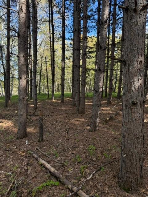 TBD County Road 3, Merrifield MN 56465 - Photo 16 of 37