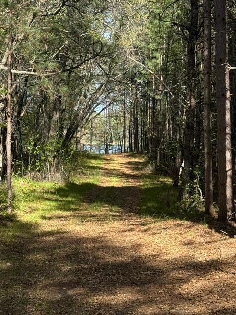 TBD County Road 3, Merrifield MN 56465 - Photo 17 of 37