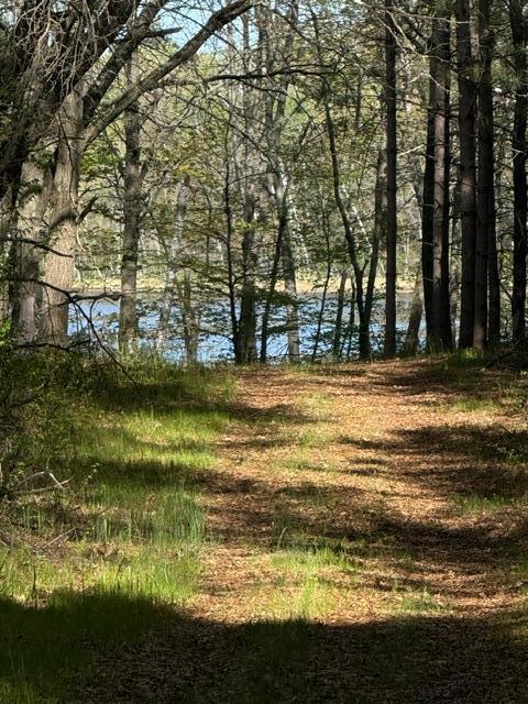TBD County Road 3, Merrifield MN 56465 - Photo 18 of 37